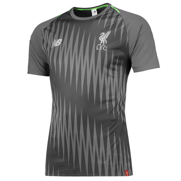 Entrenamiento Liverpool 2018-19 Gris